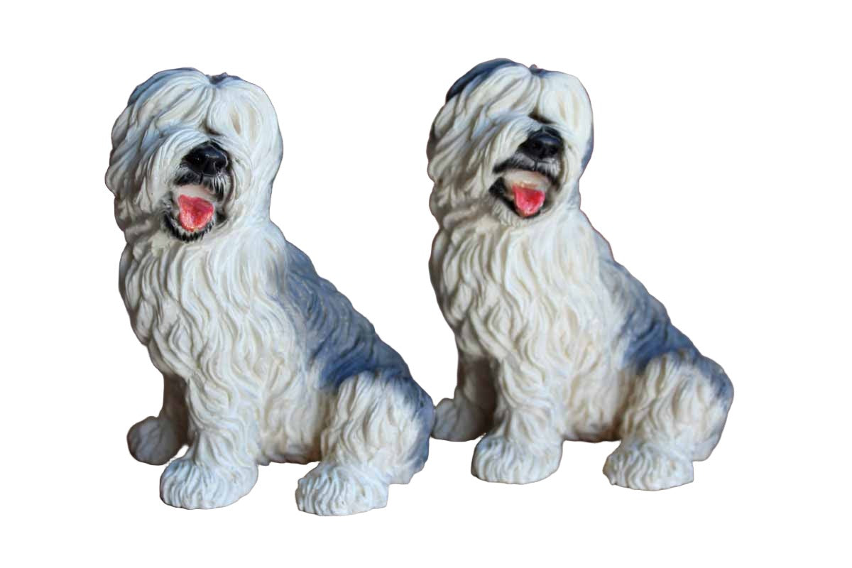 Old English Sheepdog Photographic Print for Sale by