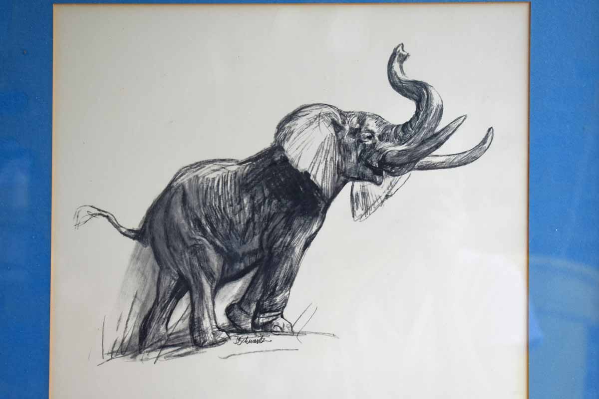 African Elephant by Sofen on DeviantArt