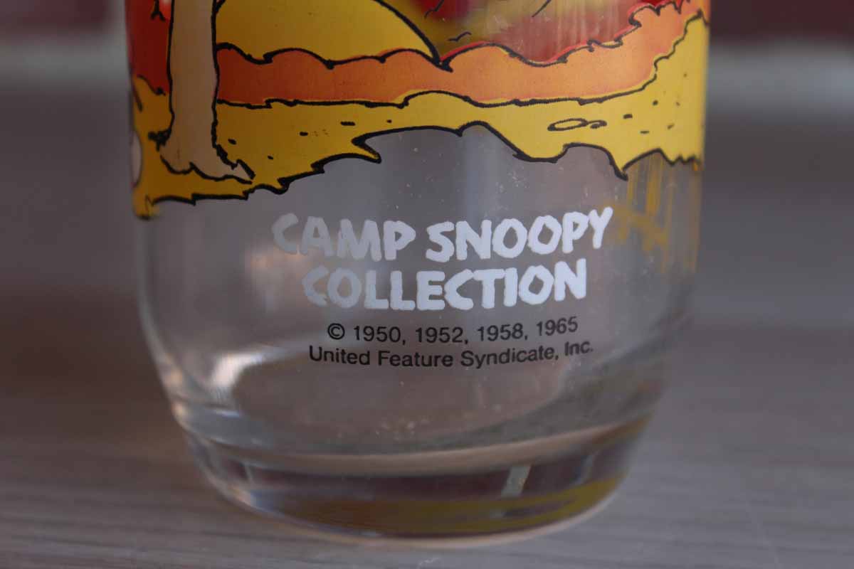 Camp Snoopy Collection 