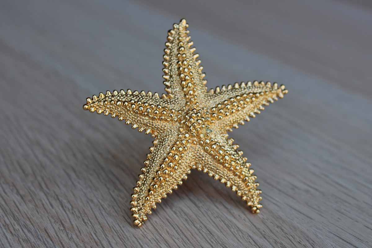 Monet (New York, USA) Gold Tone Starfish Brooch