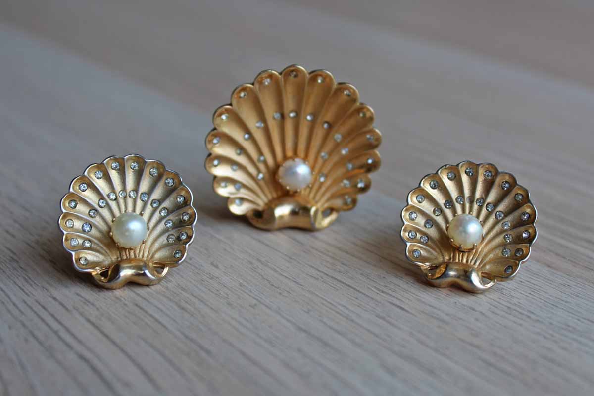 Brass Clam Shell- Gold – Sea Tribe